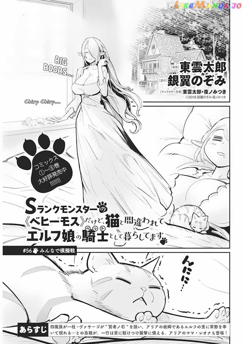 I Am Behemoth Of The S Rank Monster But I Am Mistaken As A Cat And I Live As A Pet Of Elf Girl chapter 56 - page 2