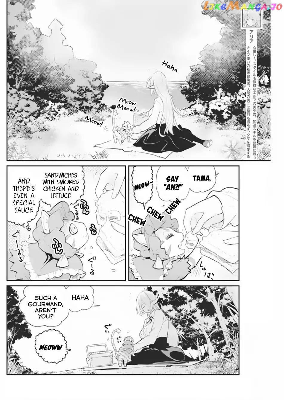 I Am Behemoth Of The S Rank Monster But I Am Mistaken As A Cat And I Live As A Pet Of Elf Girl chapter 19 - page 3