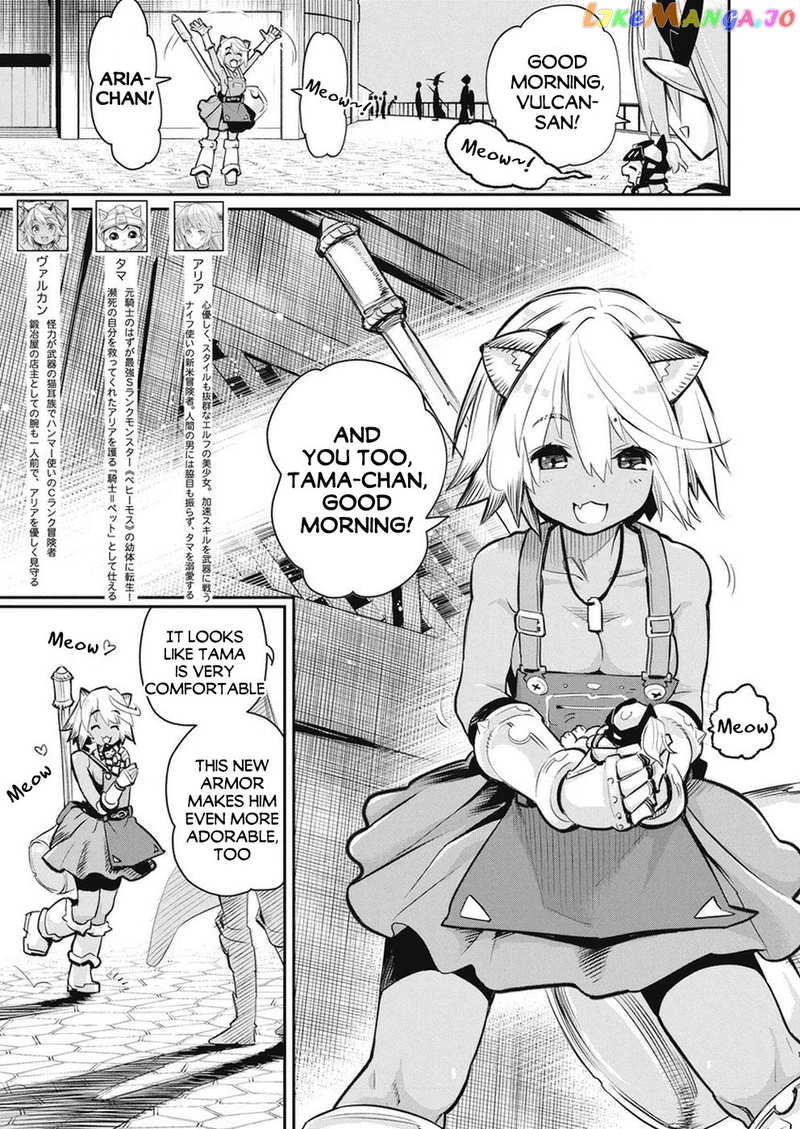 I Am Behemoth Of The S Rank Monster But I Am Mistaken As A Cat And I Live As A Pet Of Elf Girl chapter 20 - page 3