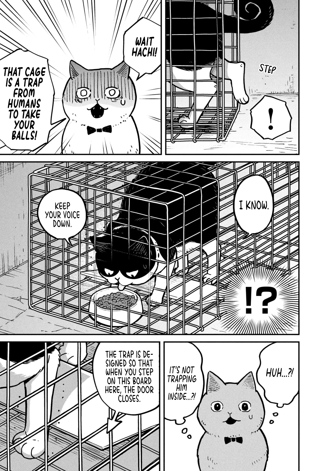 Cat Partners: Maruru And Hachi chapter 2 - page 12