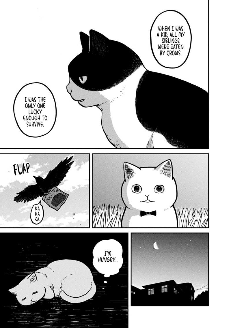 Cat Partners: Maruru And Hachi chapter 2 - page 18