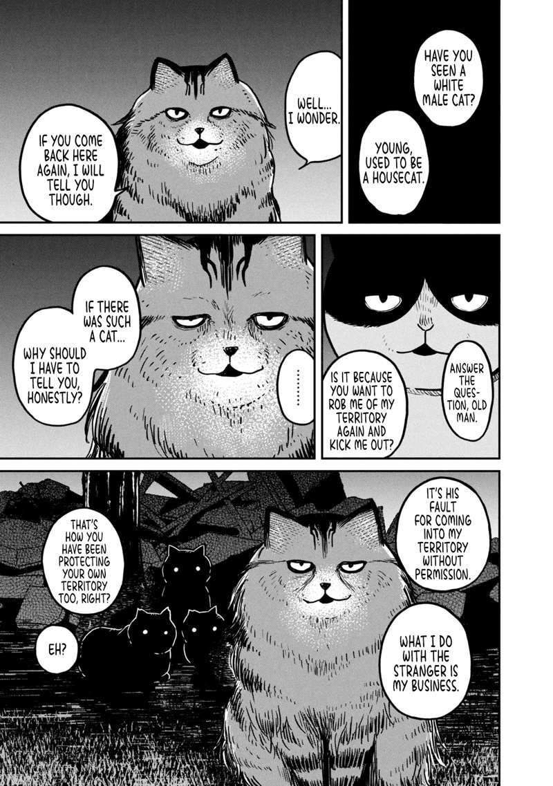Cat Partners: Maruru And Hachi chapter 3 - page 10