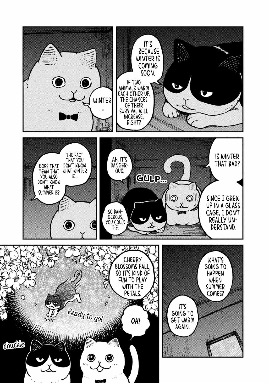 Cat Partners: Maruru And Hachi chapter 3 - page 4