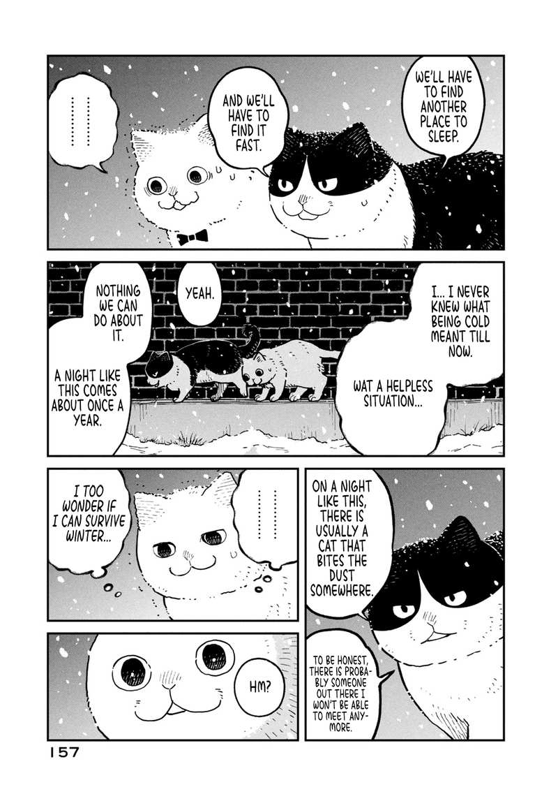 Cat Partners: Maruru And Hachi chapter 7 - page 10