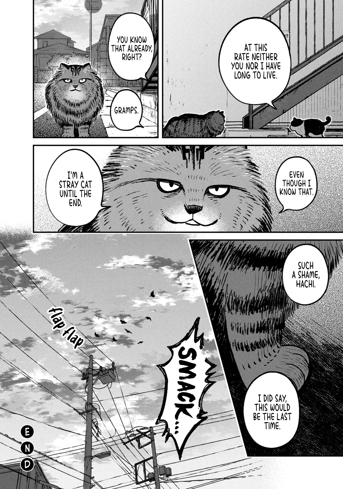 Cat Partners: Maruru And Hachi chapter 10 - page 11