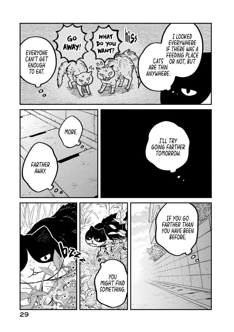 Cat Partners: Maruru And Hachi chapter 10 - page 4