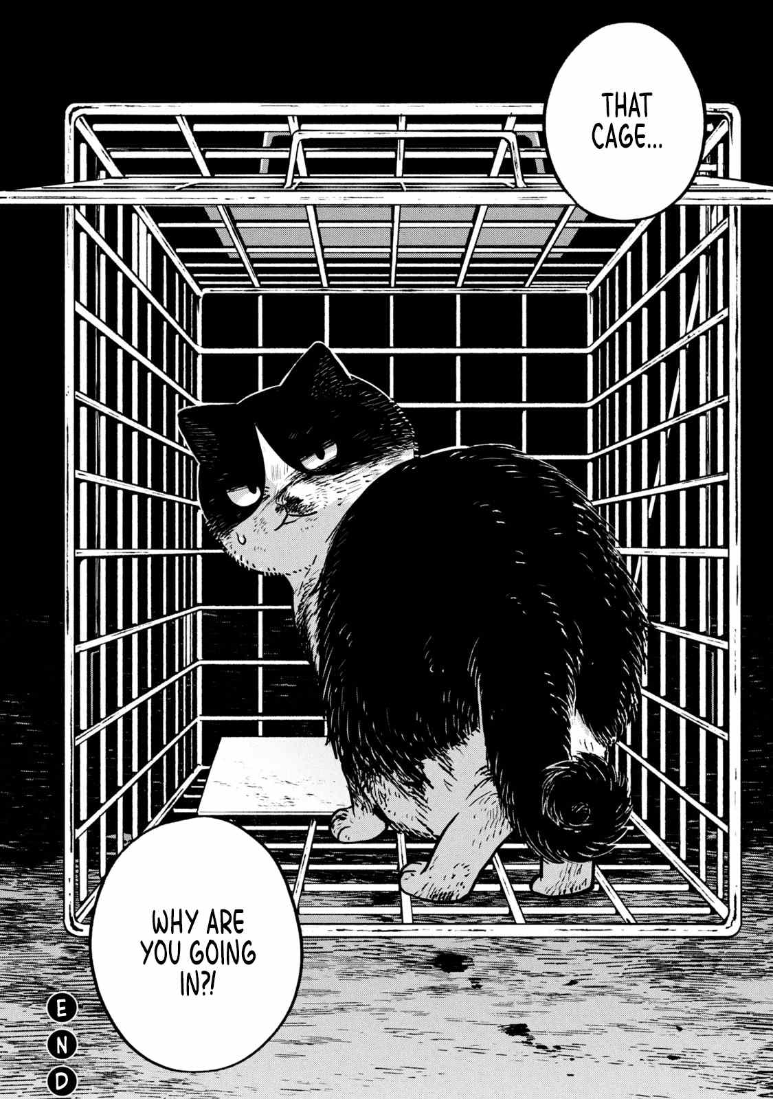 Cat Partners: Maruru And Hachi chapter 11 - page 13