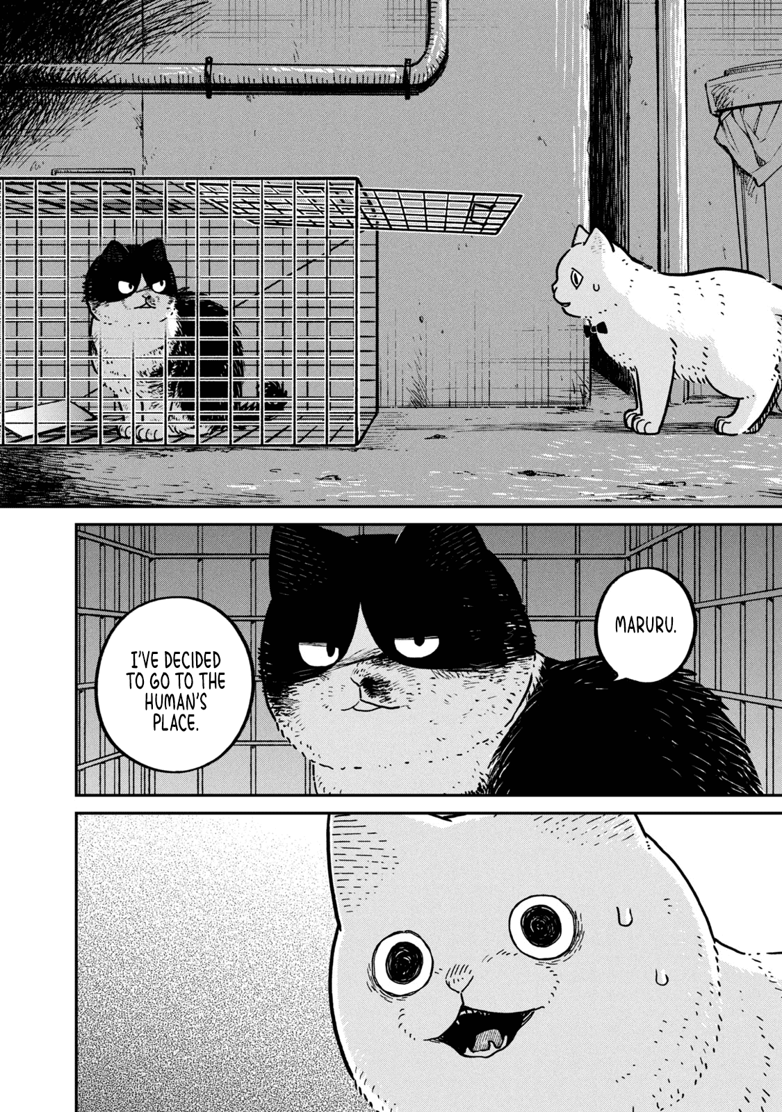 Cat Partners: Maruru And Hachi chapter 12 - page 3