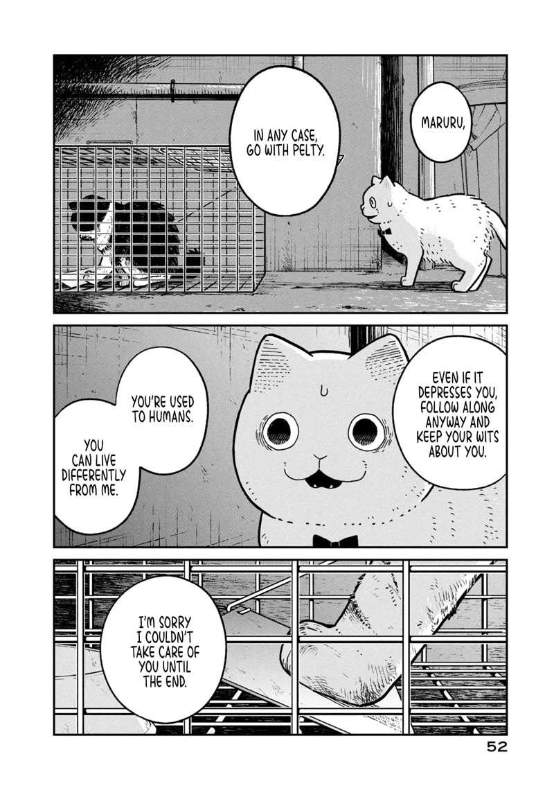 Cat Partners: Maruru And Hachi chapter 12 - page 5