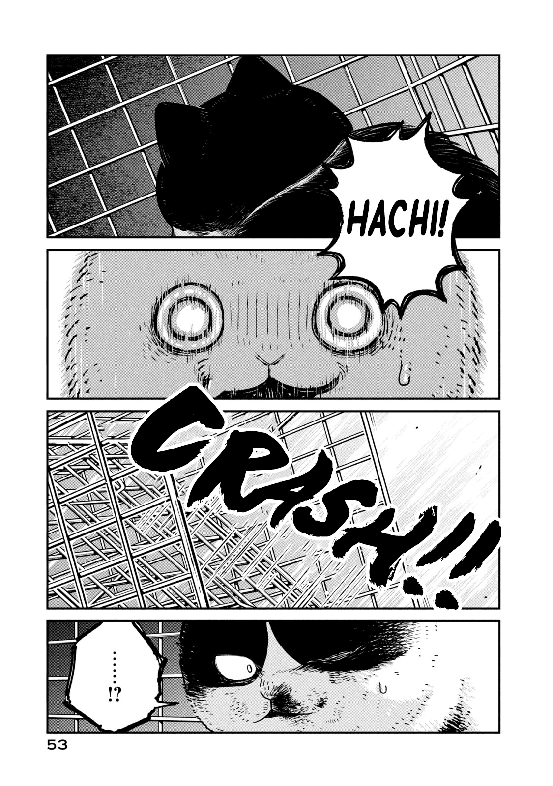 Cat Partners: Maruru And Hachi chapter 12 - page 6