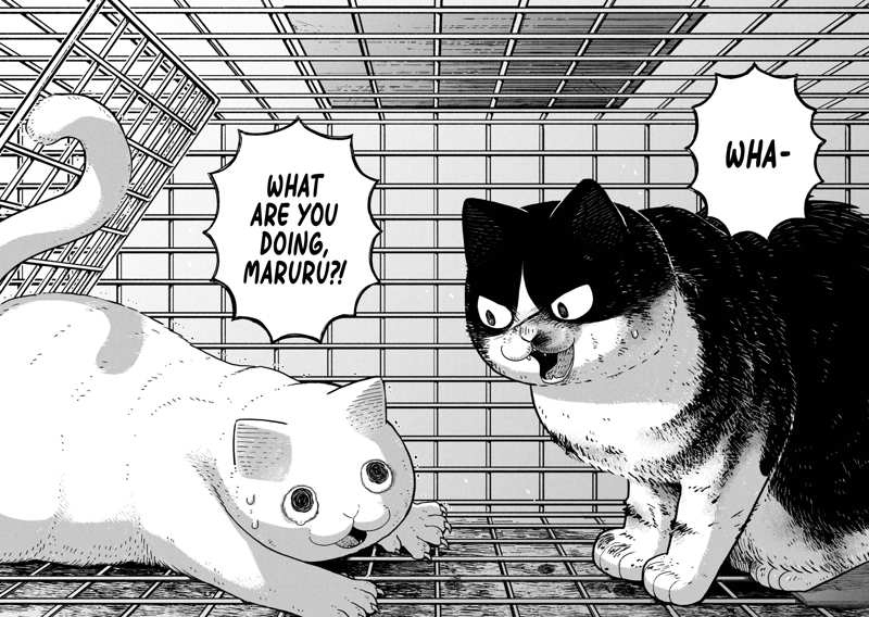 Cat Partners: Maruru And Hachi chapter 12 - page 7