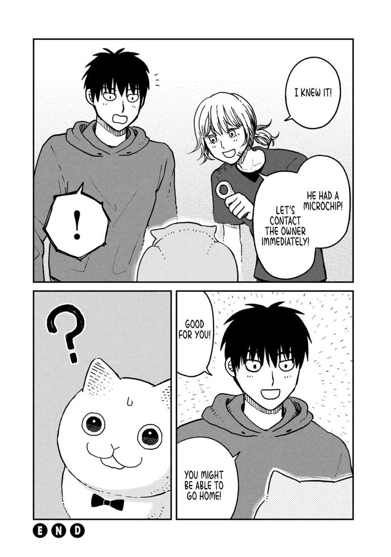 Cat Partners: Maruru And Hachi chapter 13 - page 12