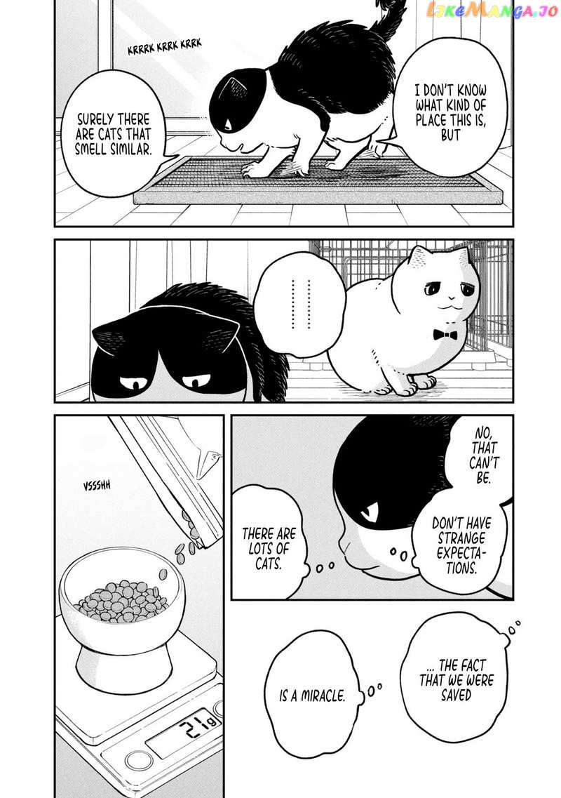 Cat Partners: Maruru And Hachi chapter 18 - page 9