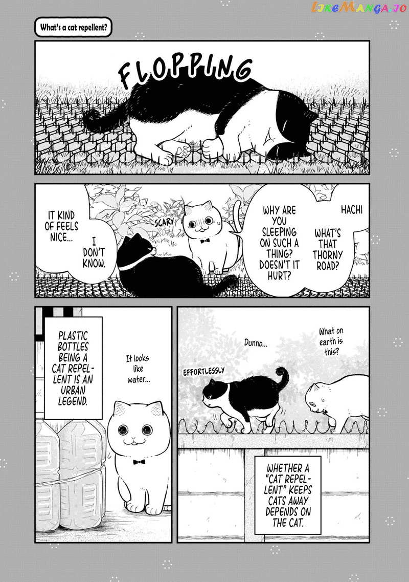 Cat Partners: Maruru And Hachi chapter 18.1 - page 10