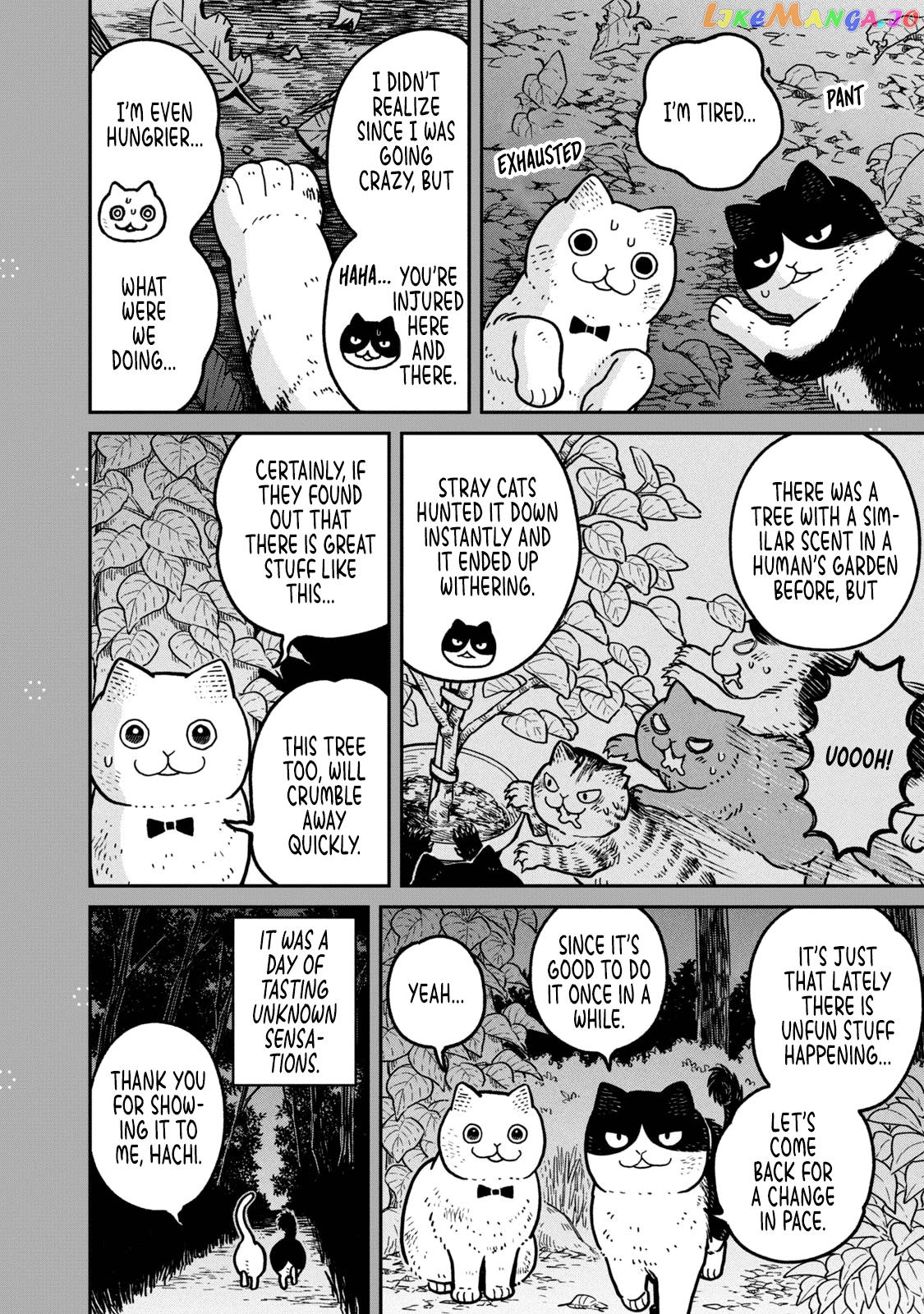 Cat Partners: Maruru And Hachi chapter 18.1 - page 17