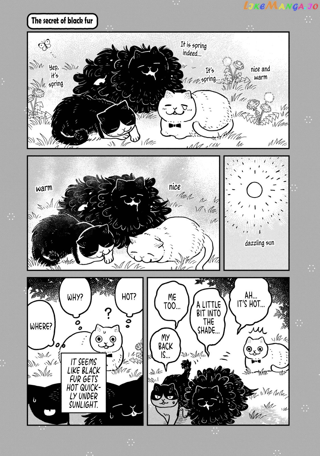 Cat Partners: Maruru And Hachi chapter 18.1 - page 4