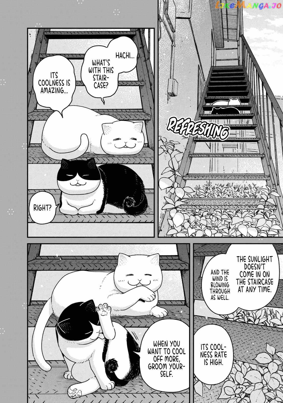 Cat Partners: Maruru And Hachi chapter 18.1 - page 7