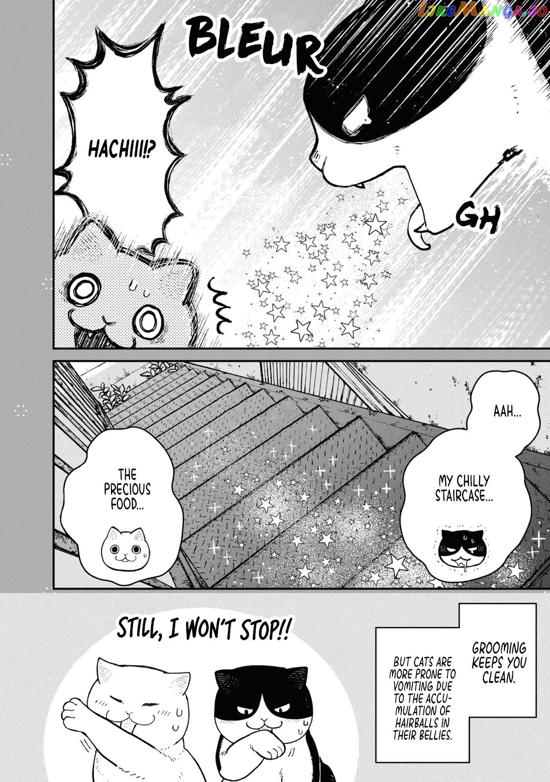 Cat Partners: Maruru And Hachi chapter 18.1 - page 9