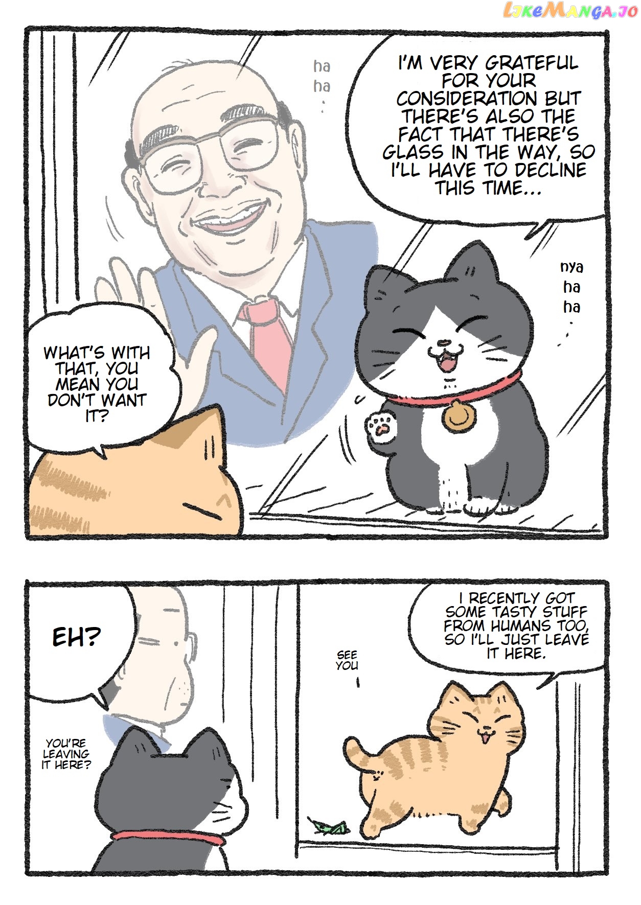 The Old Man Who Was Reincarnated As A Cat chapter 145 - page 2