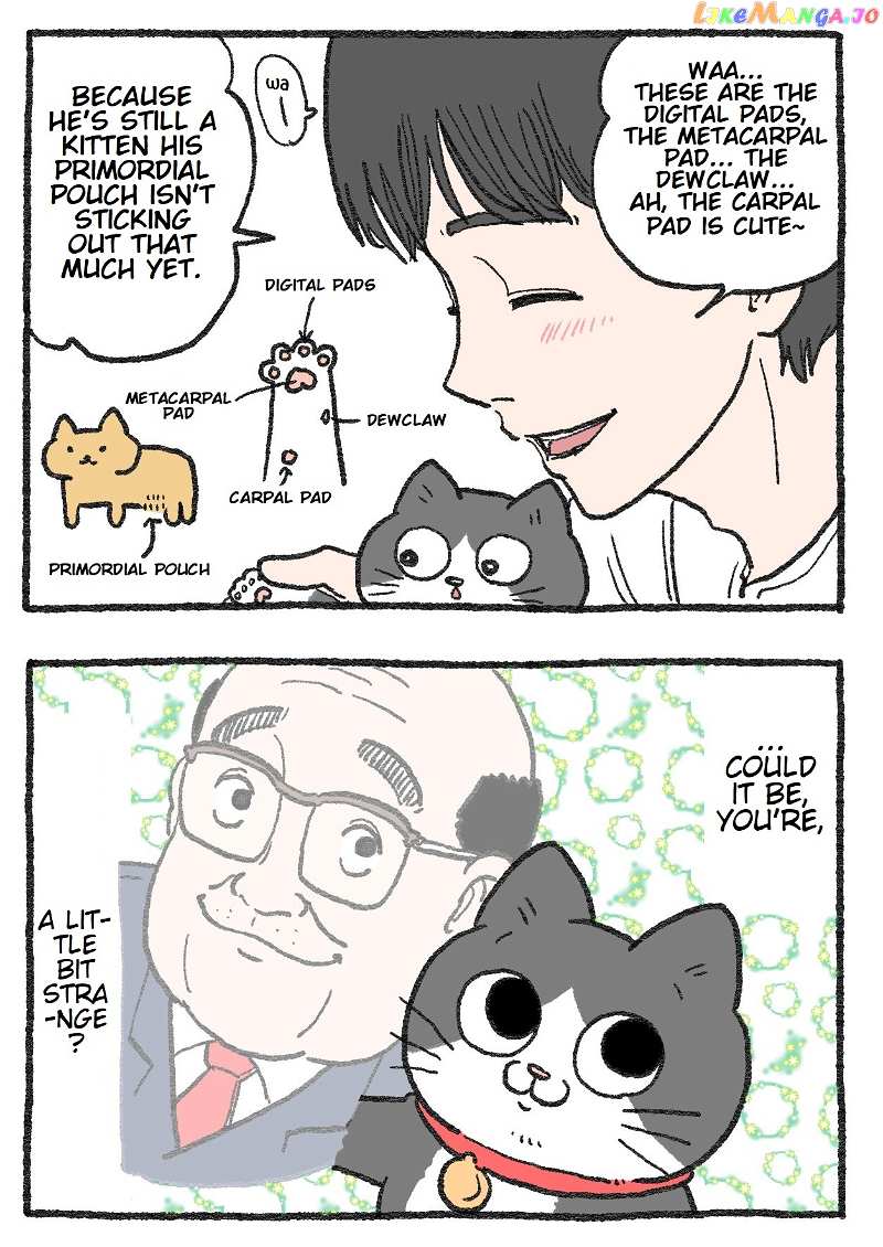 The Old Man Who Was Reincarnated As A Cat chapter 152 - page 2