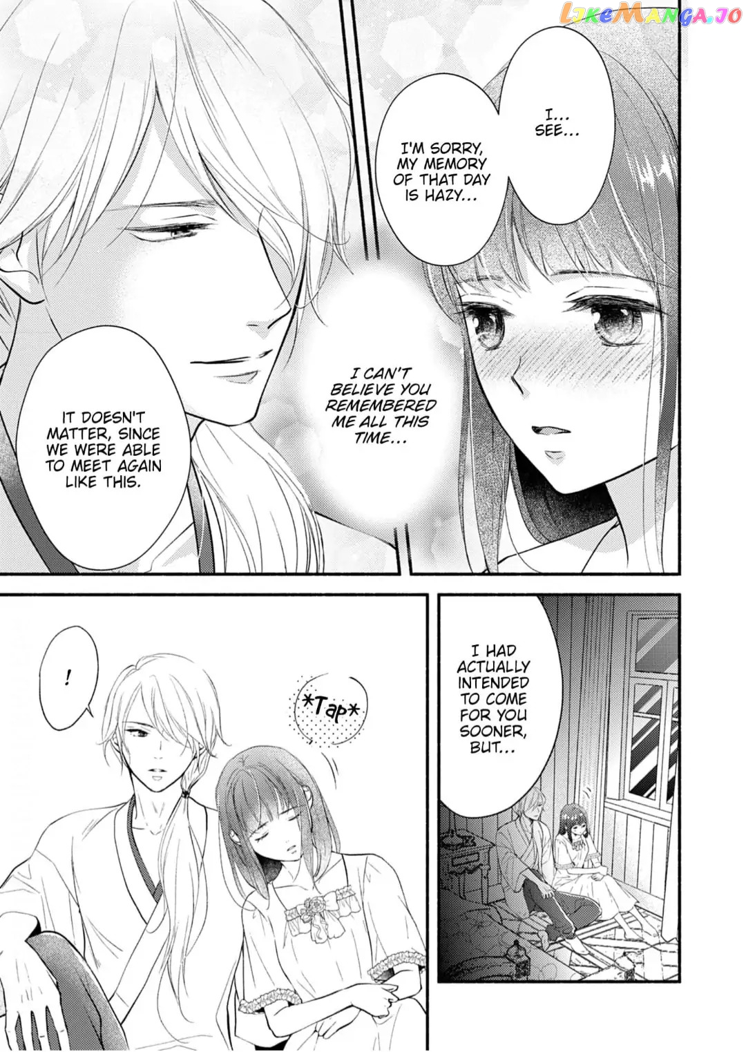 The Fox Lord's Bride ~ Taisho Romance Chronicles ~ Chapter 3 - page 25