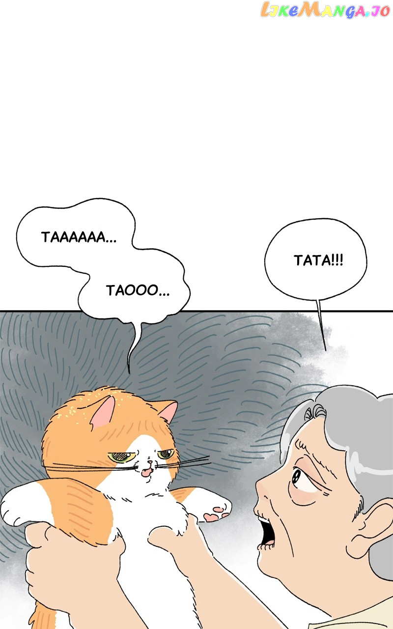 Tata The Cat chapter 3 - page 35