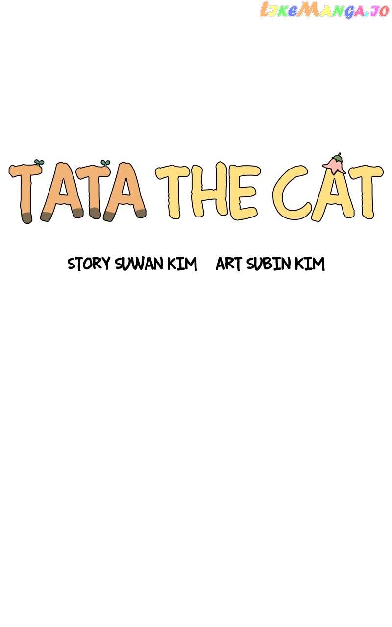 Tata The Cat chapter 5 - page 15