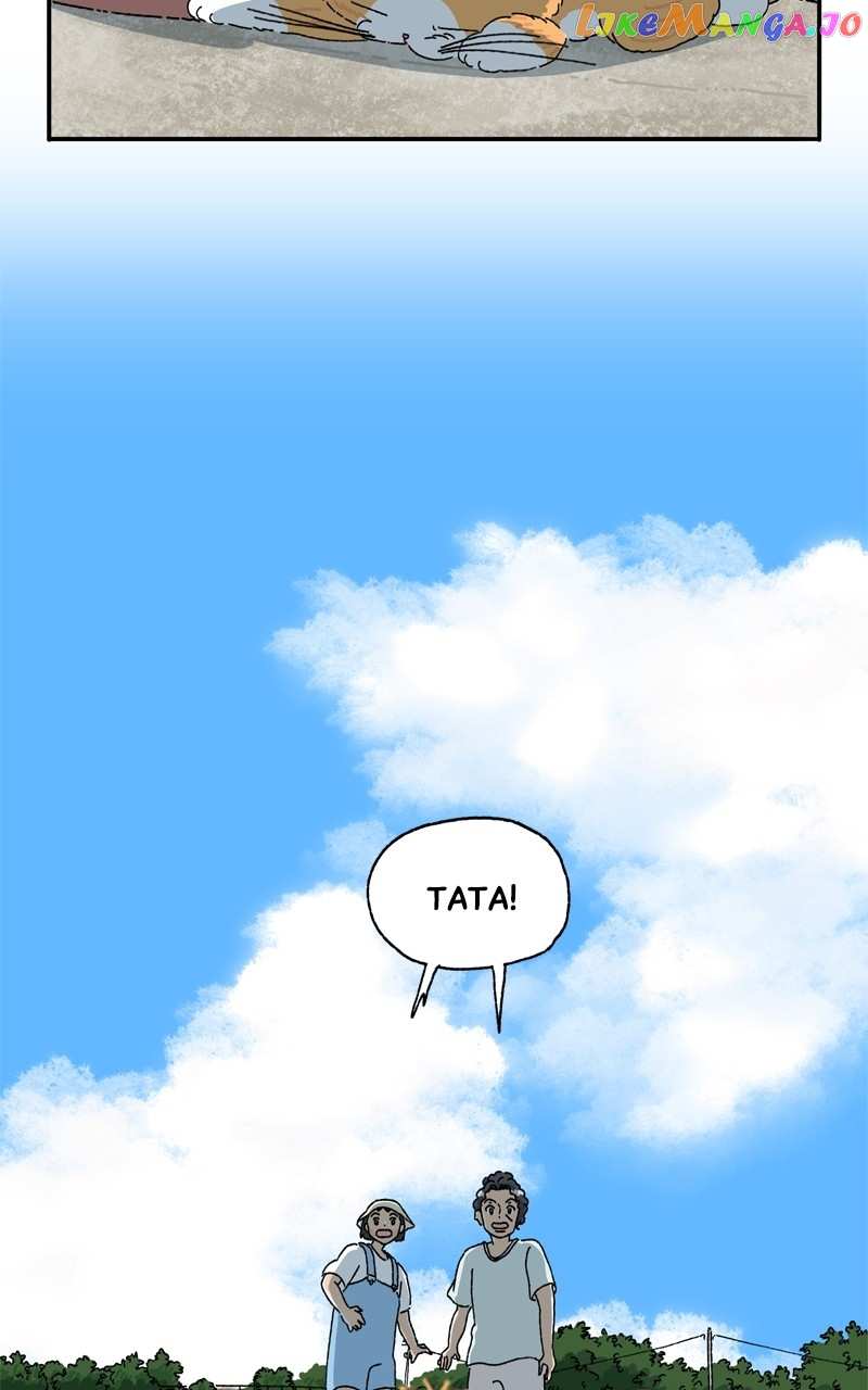 Tata The Cat chapter 16 - page 16