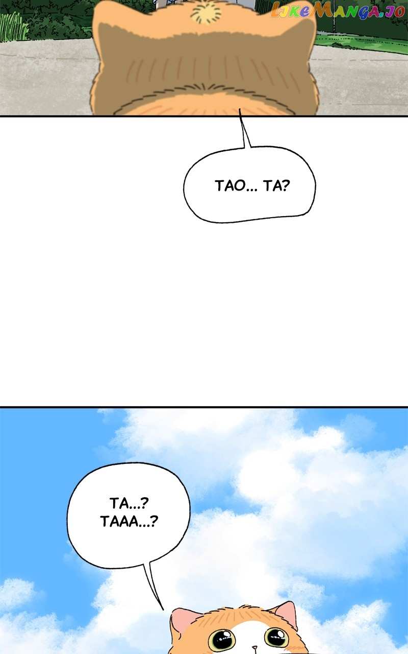 Tata The Cat chapter 16 - page 17