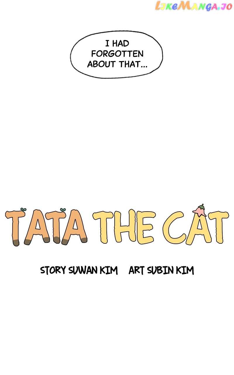 Tata The Cat chapter 16 - page 46