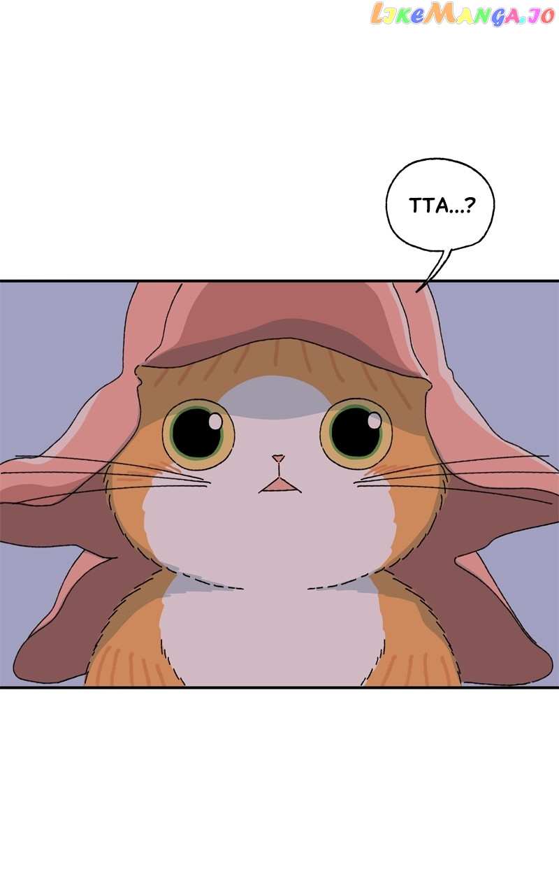 Tata The Cat Chapter 20 - page 37