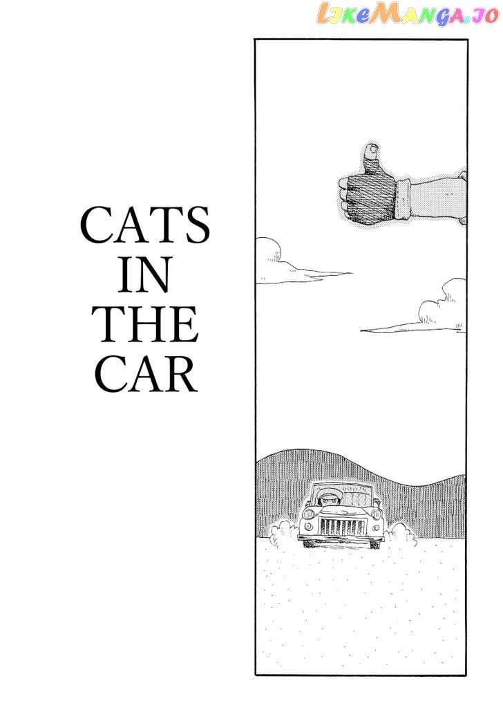 Cat in the Car chapter 61 - page 1