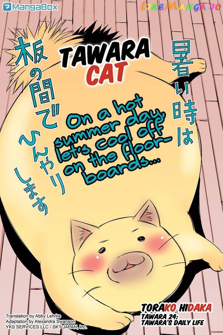 Tawara Neko to Machigai Jinsei chapter 24 - page 2