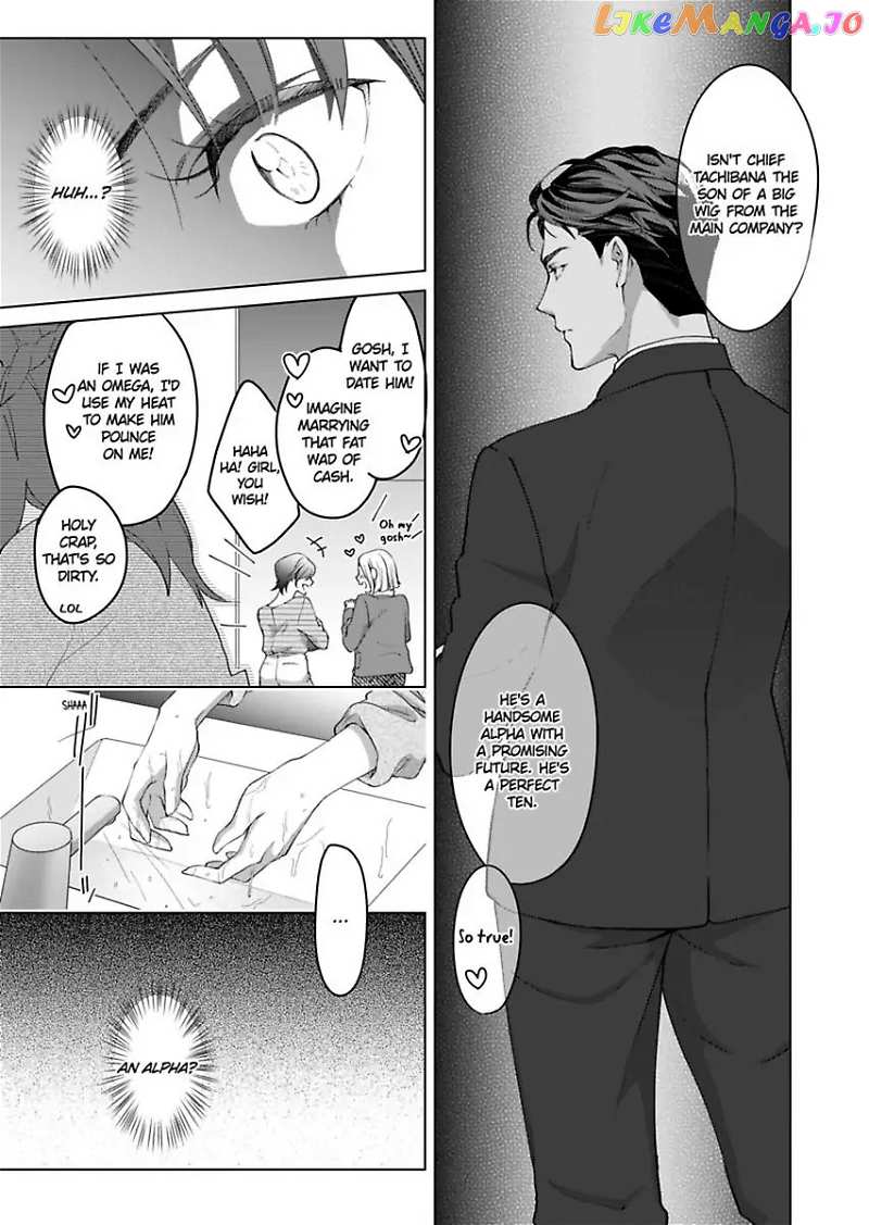 Destiny in the Heat ~A Reason to Bind to an Elite Alpha~ Chapter 7 - page 19