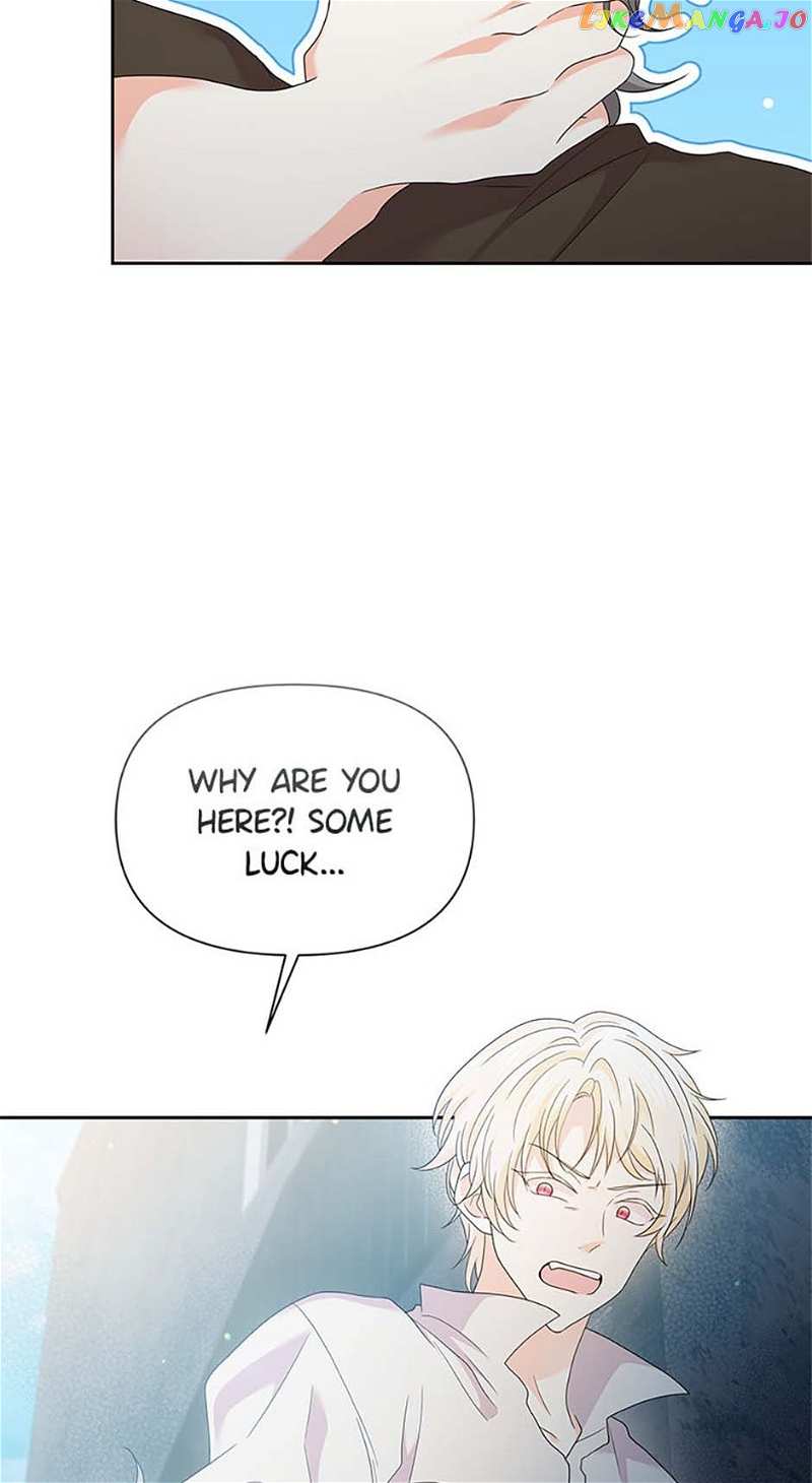 Abella's Dessert Cafe Chapter 79 - page 39