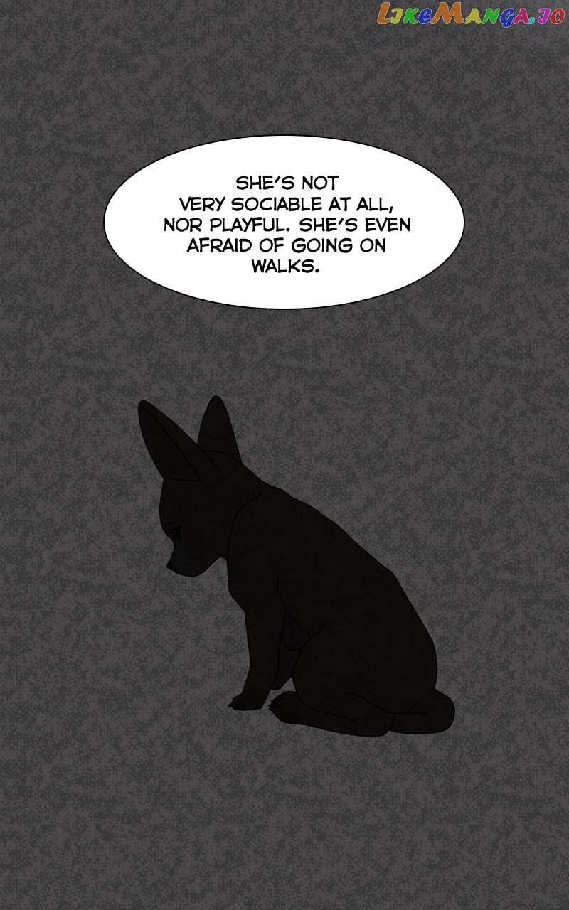 The Dog Diaries Chapter 127 - page 50