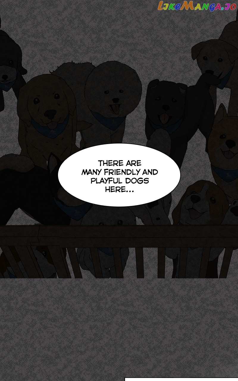 The Dog Diaries Chapter 127 - page 51