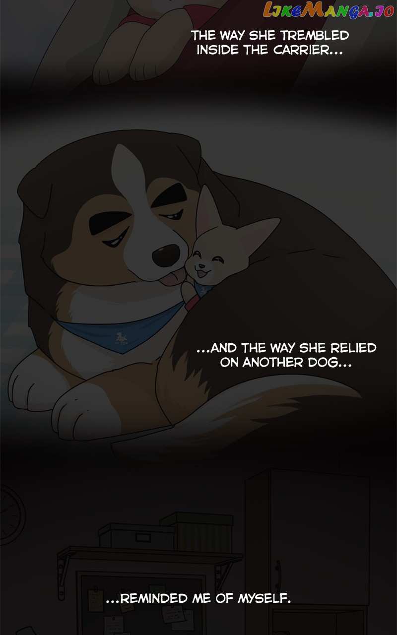The Dog Diaries Chapter 129 - page 26