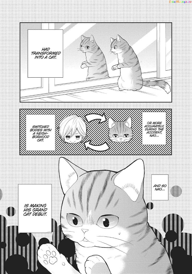 My New Life as a Cat Chapter 9 - page 3