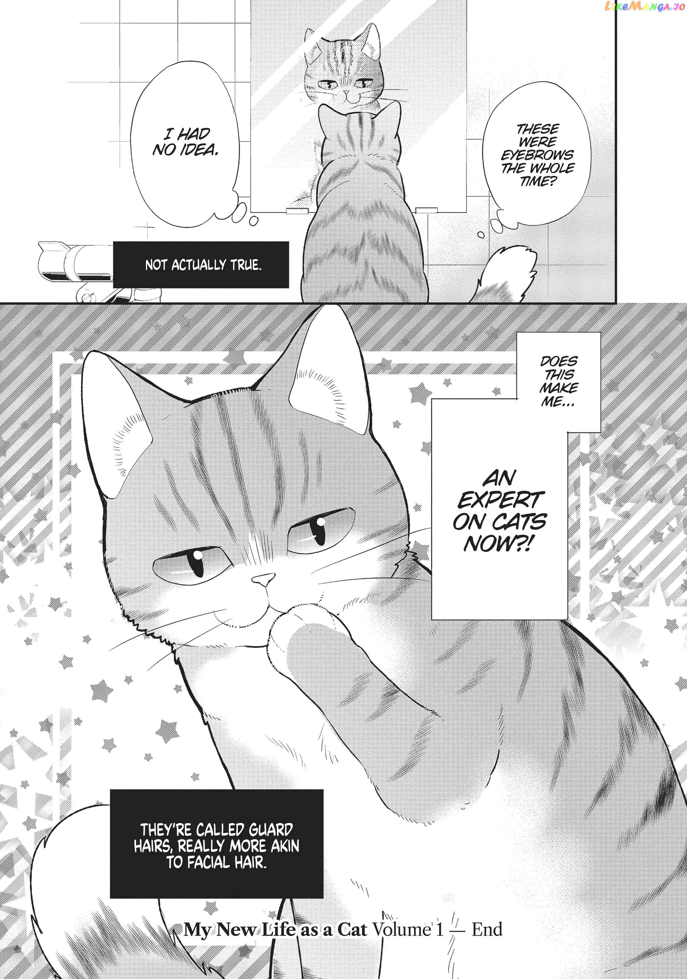 My New Life as a Cat Chapter 10 - page 15