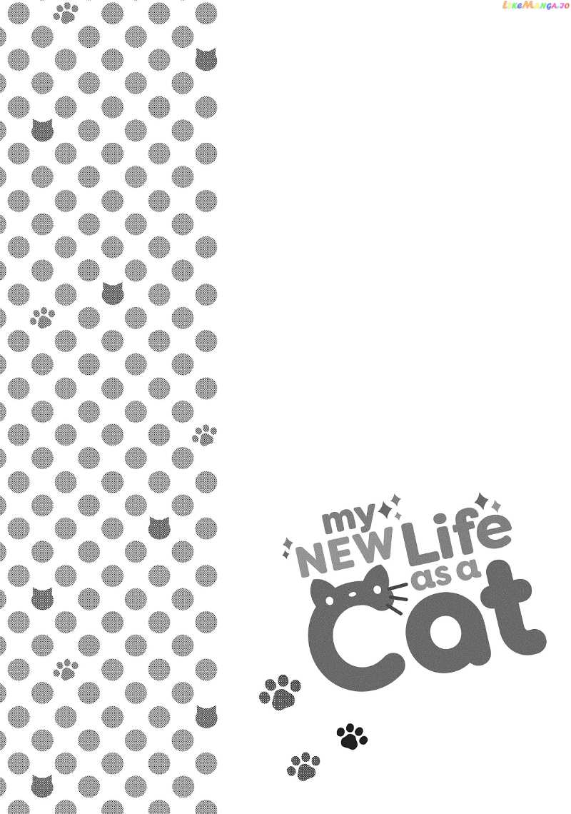 My New Life as a Cat Chapter 10.5 - page 8