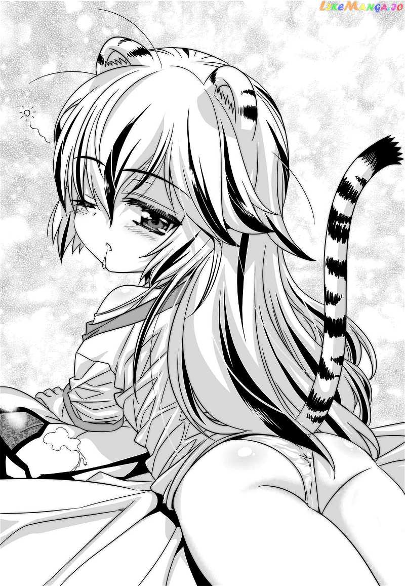 My Love Tiger Chapter 259 - page 3