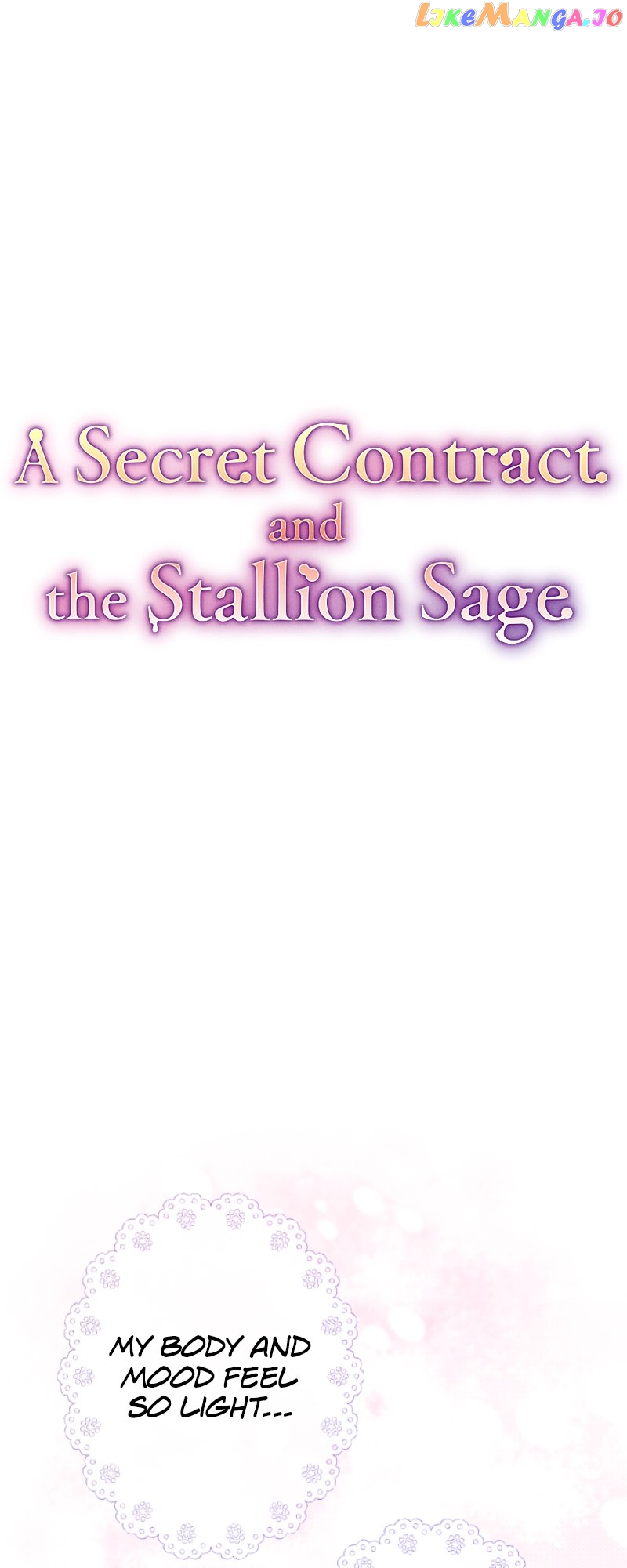 A Secret Contract and the Stallion Sage Chapter 23 - page 17