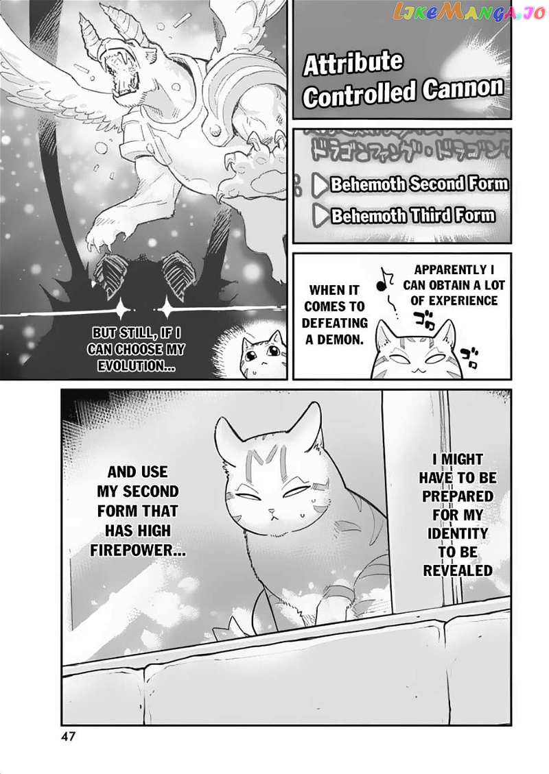 I Am Behemoth Of The S Rank Monster But I Am Mistaken As A Cat And I Live As A Pet Of Elf Girl Chapter 64 - page 10