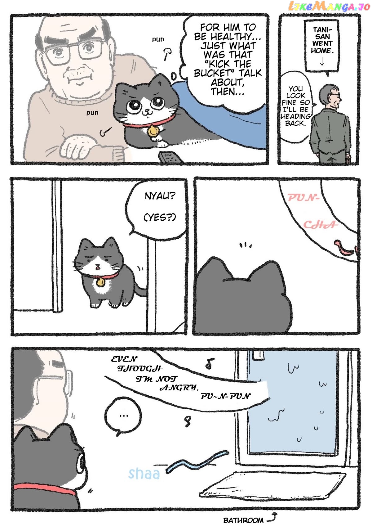 The Old Man Who Was Reincarnated As A Cat Chapter 308 - page 1