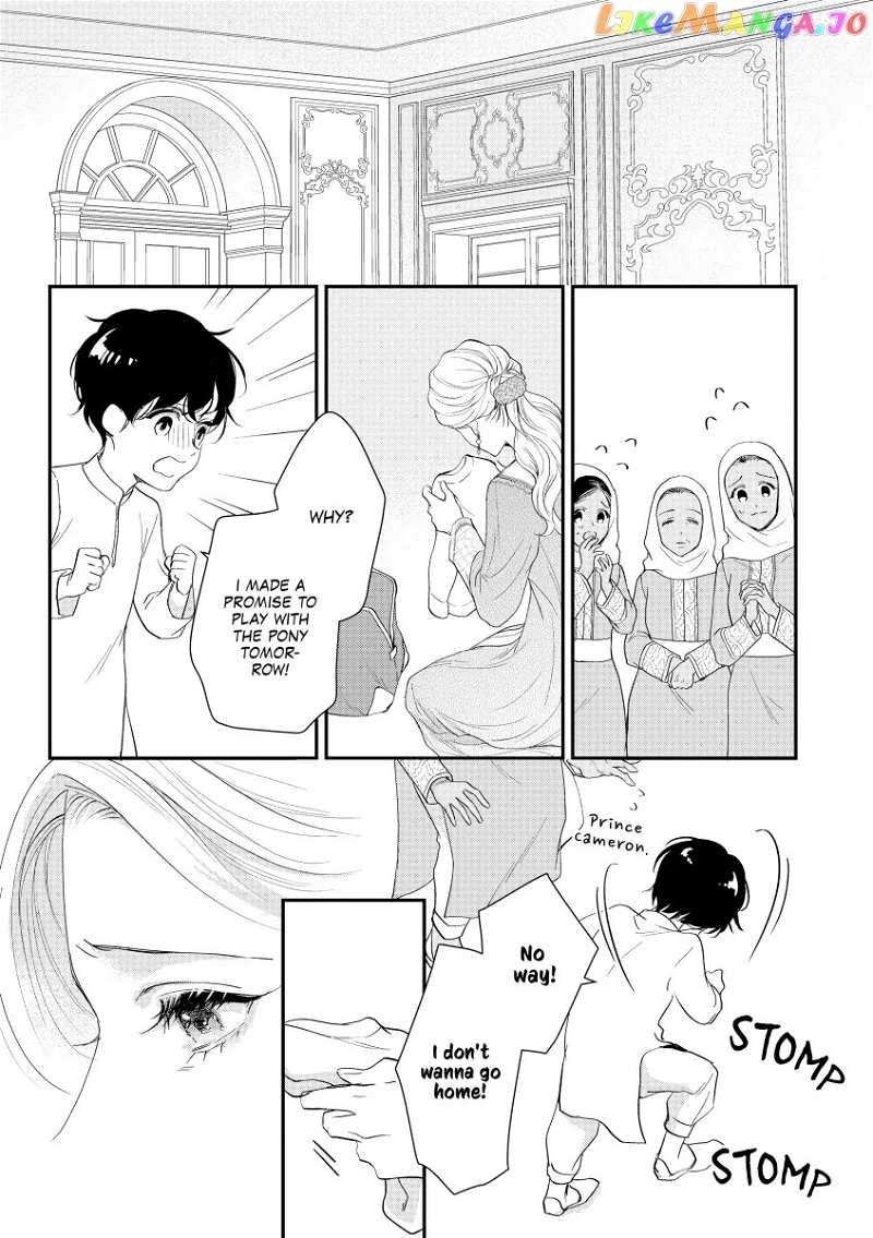 The Sheikh's Royal Announcement Chapter 11 - page 7