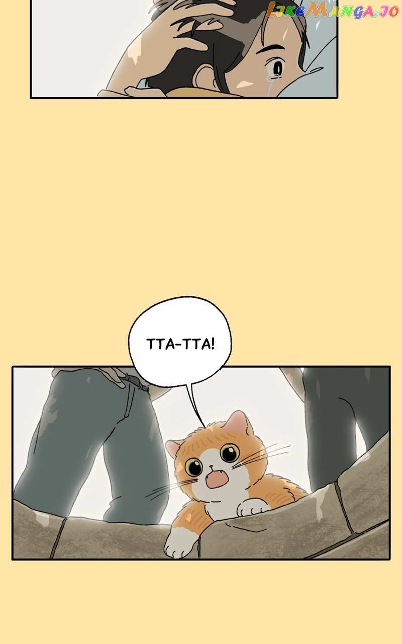 Tata The Cat Chapter 24 - page 3