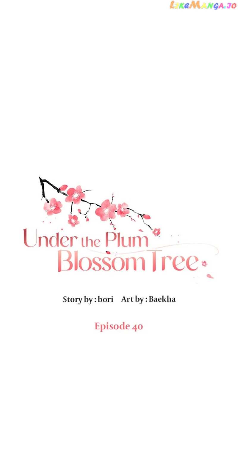 Under the Plum Blossom Tree Chapter 40 - page 23