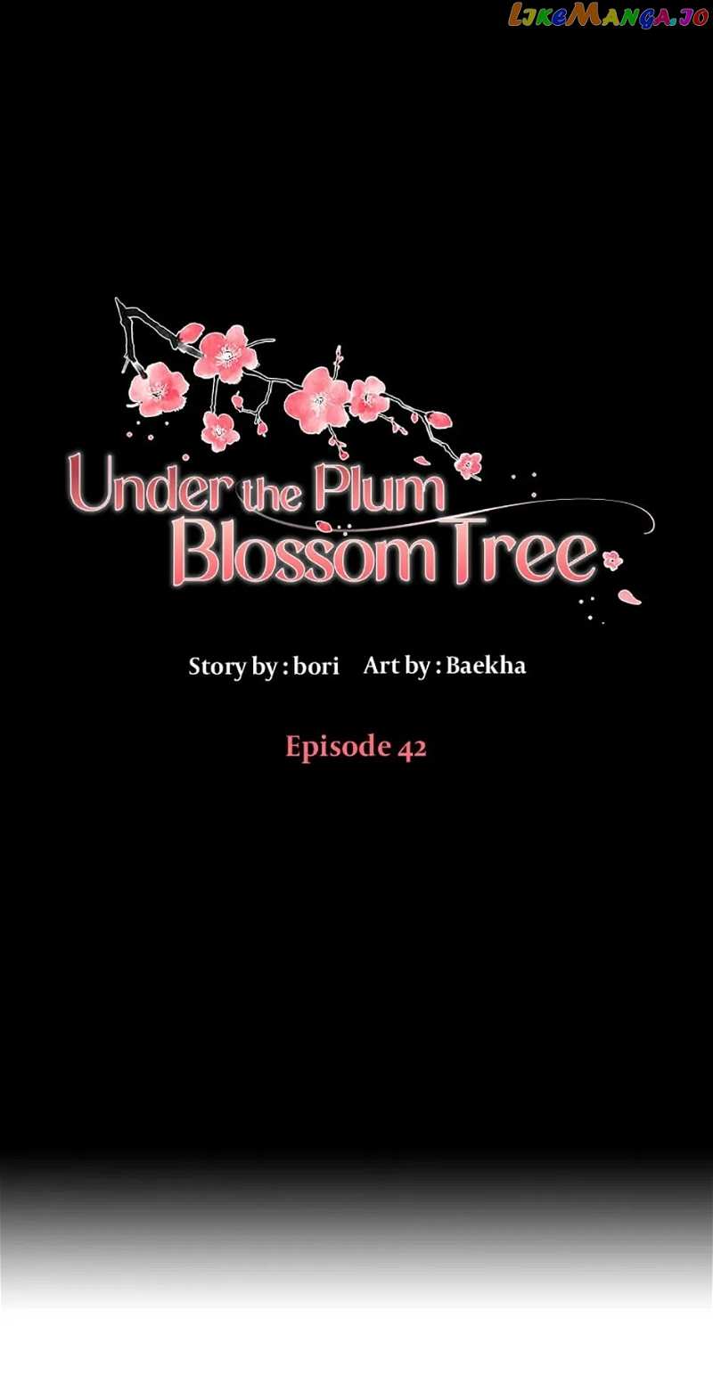 Under the Plum Blossom Tree Chapter 42 - page 12