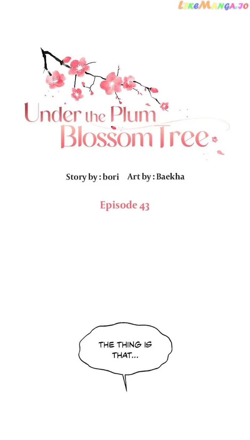 Under the Plum Blossom Tree Chapter 43 - page 1